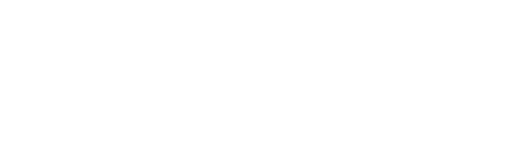 Budget vrij logo wit